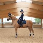 Trainingsshirt Young Rider Kids LeMieux Dunkelblau