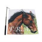 Trainingsstock mit Flagge Ausziehbar F.R.A. 