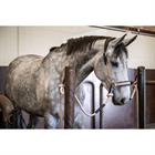 Transporthalfter La Cense by Dy'on Schwarz