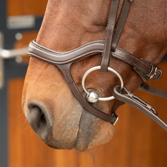 Trense Anatomic Harry's Horse Braun