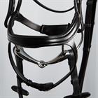 Trense Anatomic Harry's Horse Schwarz