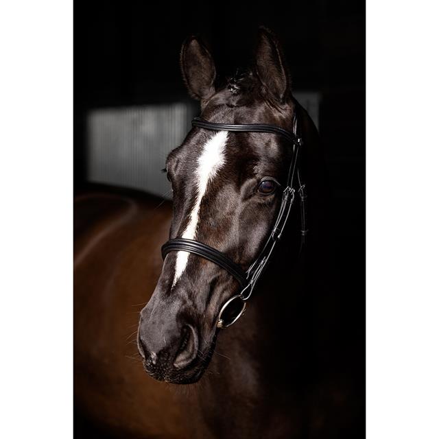 Trense Arika Cavesson LeMieux Schwarz-Silber