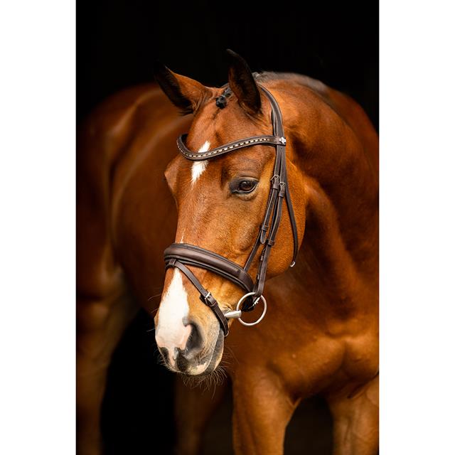 Trense Arika Dressage LeMieux Braun