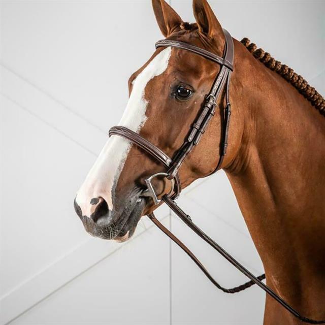 Trense Cavesson Usc Dy'on Braun