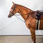 Trense Cavesson Usc Dy'on Schwarz