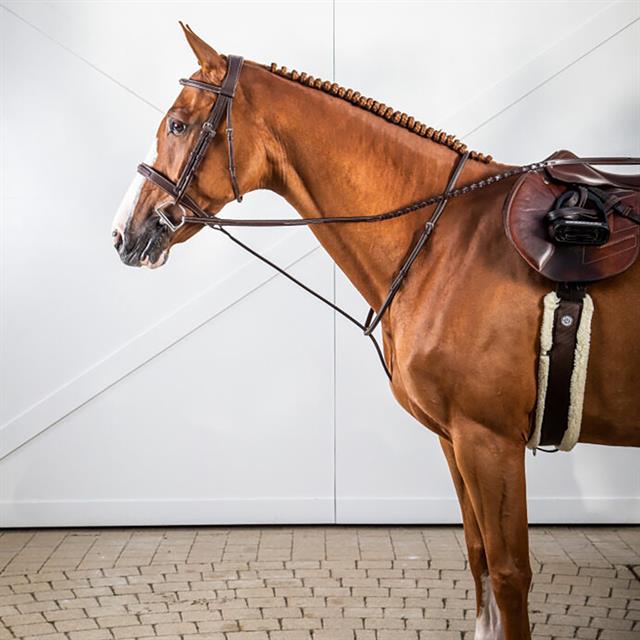 Trense Cavesson Usc Dy'on Schwarz