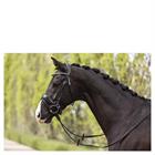 Trense Comfort Fit Double Anatomical Anky Schwarz