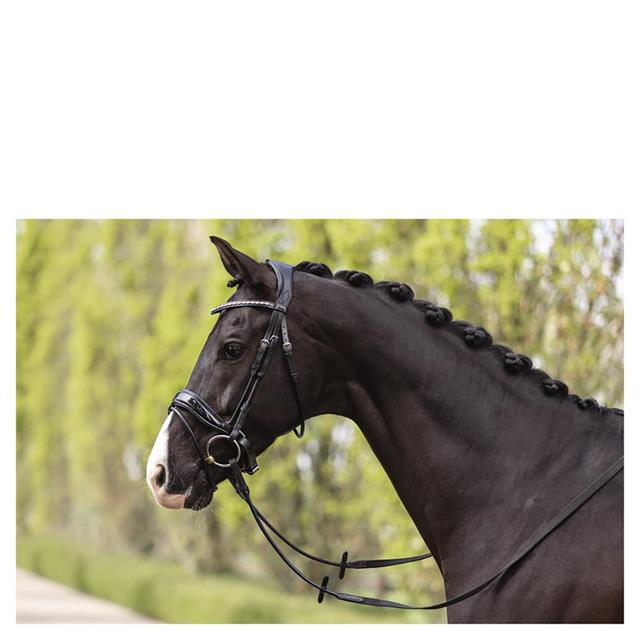 Trense Comfort Fit Double Anatomical Anky Schwarz