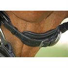 Trense Dressage Lack rundgenäht Dy'on Schwarz-Schwarz