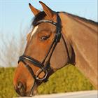 Trense Dressage Rundgenäht Medium Matt Dy'on Schwarz