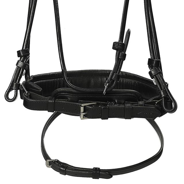 Trense Dressage Rundgenäht Medium Matt Dy'on Schwarz