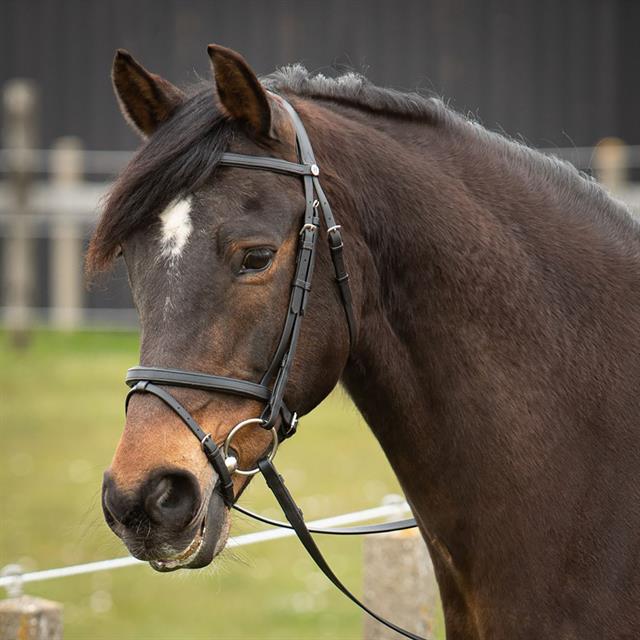 Trense Easy Care Harry's Horse Schwarz