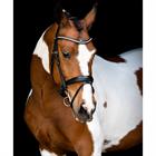 Trense Fair Montar Schwarz