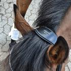 Trense Fair Montar Schwarz