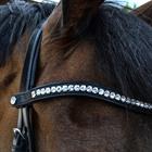 Trense Fair Montar Schwarz