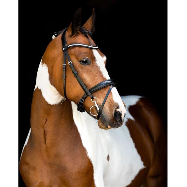 Trense Fair Montar Schwarz