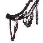 Trense FaySport Shine PresTeq Braun