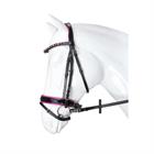 Trense Flamingo Horka Schwarz-Pink