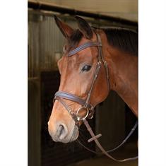 Trense Havanna Navy Harry's Horse Braun