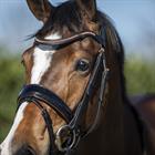 Trense HGBlush HORSEGEAR Schwarz