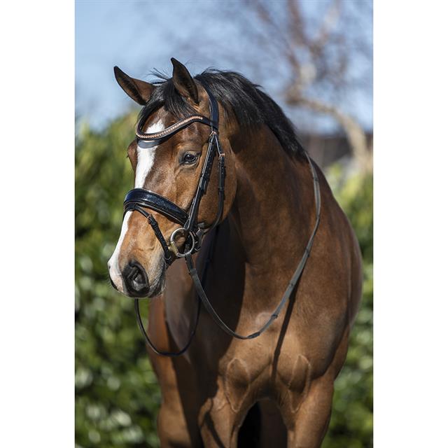 Trense HGBlush HORSEGEAR Schwarz