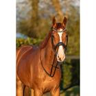 Trense HGGreylin HORSEGEAR Schwarz