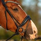 Trense HGGreylin HORSEGEAR Schwarz