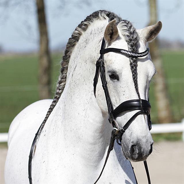 Trense HGHonestus HORSEGEAR Schwarz