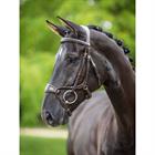 Trense Kudos Clear Arc LeMieux Braun-Gold