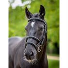 Trense Kudos Doppel-Nasenriemen LeMieux Schwarz-Silber