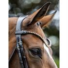 Trense Kudos Dressur Lack LeMieux Braun-Braun