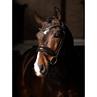 Trense Kudos Dressur Lack LeMieux Braun-Braun
