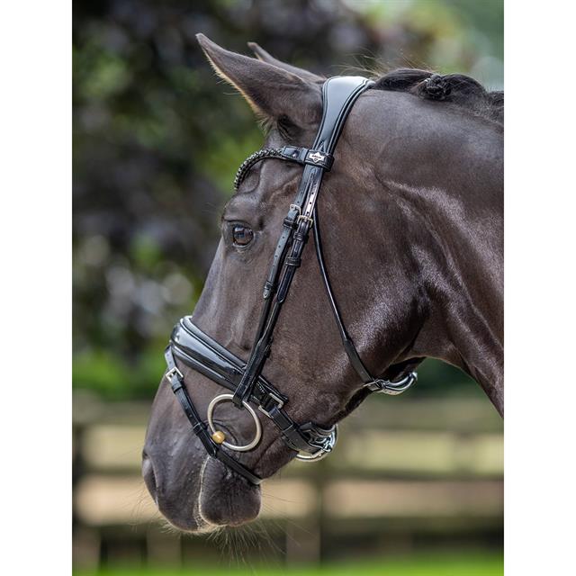 Trense Kudos Dressur Lack LeMieux Schwarz-Schwarz