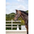Trense Matte Noseband Dressage Collection by Dy'on Schwarz