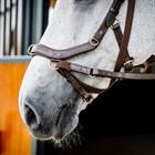 Trense Micklem Multi Bridle 2.0 Horseware Braun