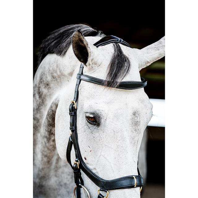 Trense Micklem Multi Bridle 2.0 Horseware Schwarz