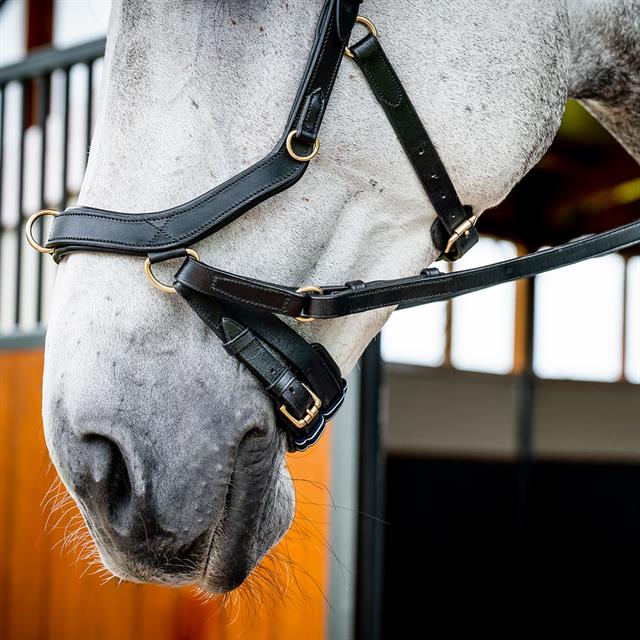 Trense Micklem Multi Bridle 2.0 Horseware Schwarz