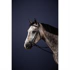 Trense mit hannoverschem Strickreithalfter New English Collection by Dy'on Schwarz