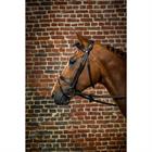 Trense mit kombiniertem Reithalfter D Collection Dy'on Schwarz