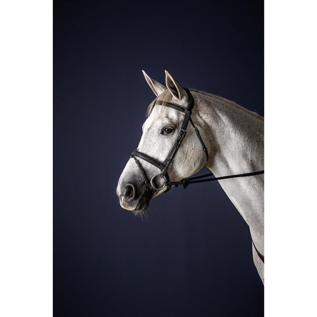 Trense mit kombiniertem Reithalfter New English Collection by Dy'on Schwarz