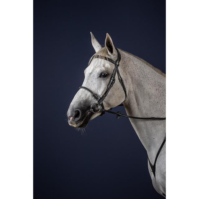 Trense mit Strickreithalfter in Leder eingefasst New English Collection by Dy'on Schwarz