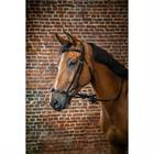 Trense mit verstellbarem Reithalfter D Collection Dy'on Schwarz