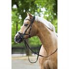 Trense Quasar Horsegear Schwarz-Silber