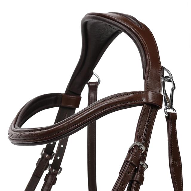 Trense Salerno QHP Braun