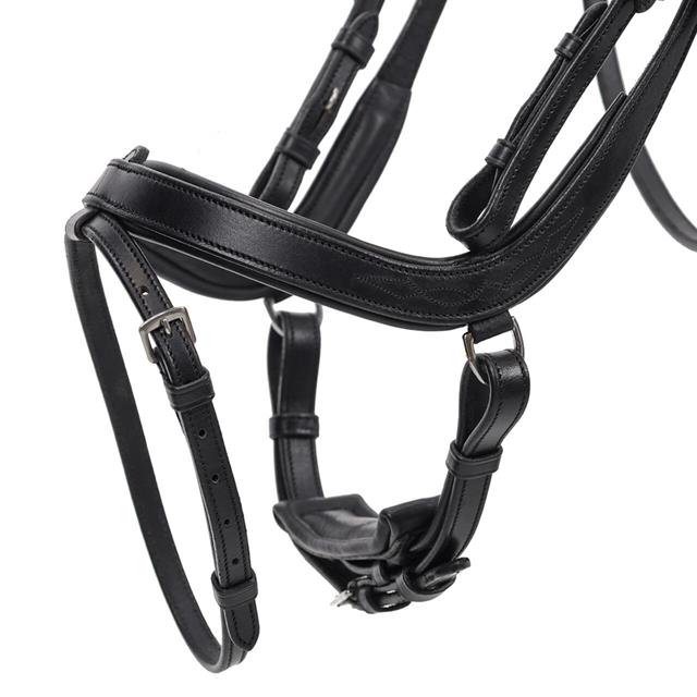 Trense Salerno QHP Schwarz