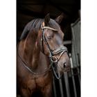 Trense Showtime Golden Dreams HB Schwarz-Gold