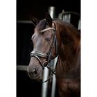 Trense Showtime Golden Dreams HB Schwarz-Gold