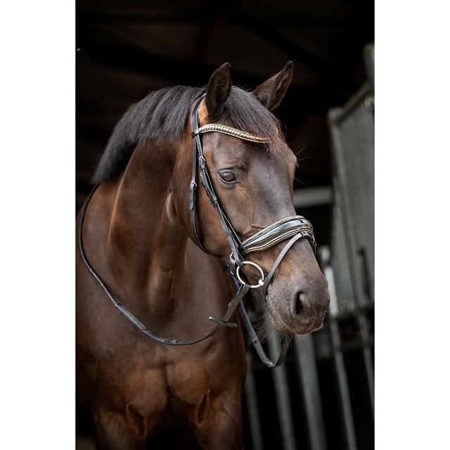 Trense Showtime Golden Dreams HB Schwarz-Gold