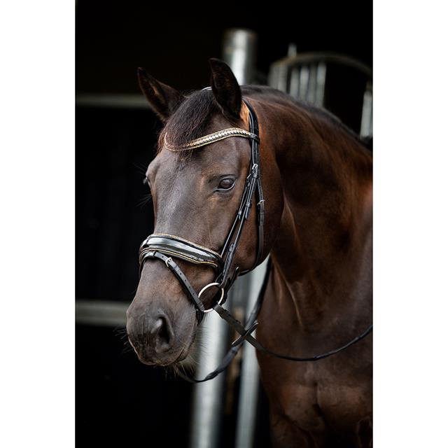 Trense Showtime Golden Dreams HB Schwarz-Gold