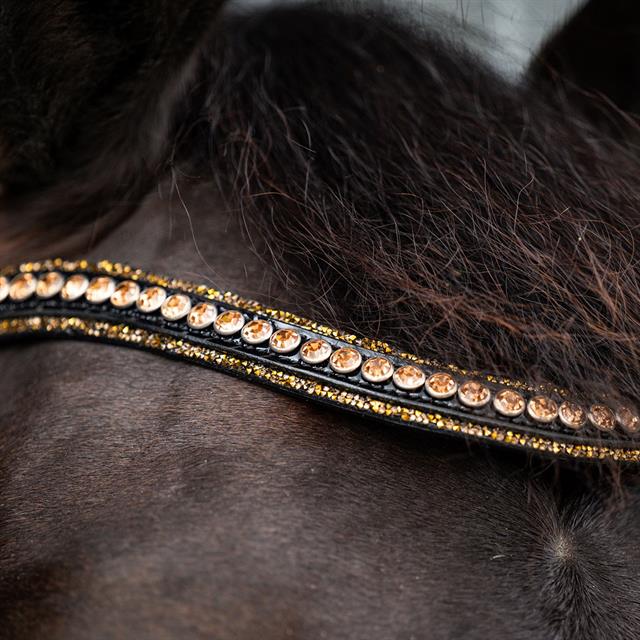 Trense Showtime Golden Dreams HB Schwarz-Gold